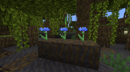 Muddy Mangrove Roots