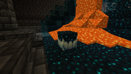 Sculk Catalyst in Deep Dark