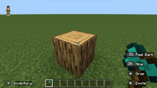 Minecraft - Stripped Wood or Log
