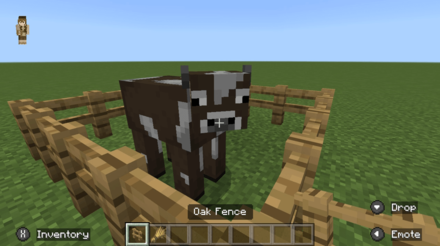 Minecraft - Fence