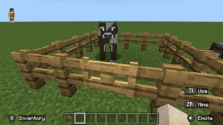 Minecraft - Fence Gate