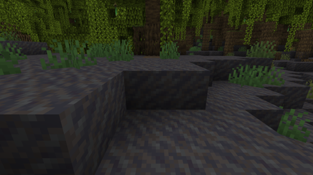 Mud in Mangrove Swamp - Minecraft