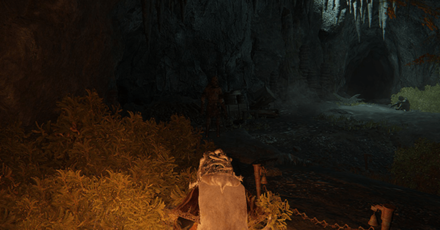 Elden Ring - Murkwater Cave