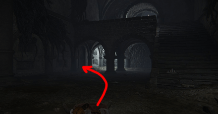 Elden Ring - Deathtouched Catacombs 4