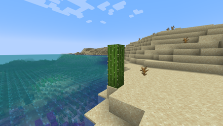 Cactus in Desert Minecraft