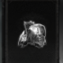 Diablo Immortal - Mystery Legendary Item.png