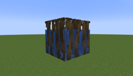 Muddy Mangrove Roots Waterlogged