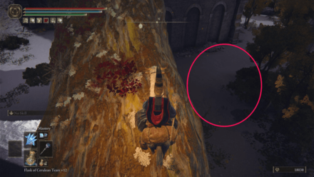 Elden Ring - Scarab 63 World View