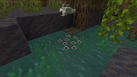 Minecraft Breed Frogs to Get Frogspawn