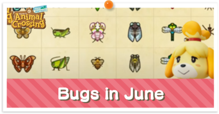 ACNH - Bugs in June