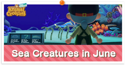 ACNH - Sea Creatures in June
