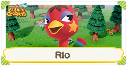 ACNH - Rio Birthday and Personality