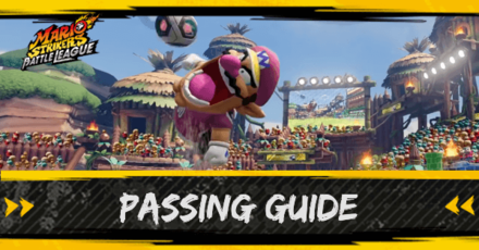 Passing Guide