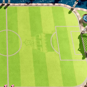 Mario Strikers Royal Field 4