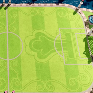 Mario Strikers Royal Field 5