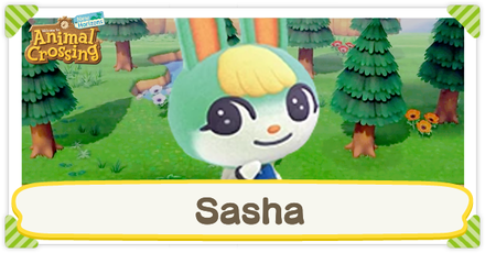 ACNH - Sasha Birthday and Personality