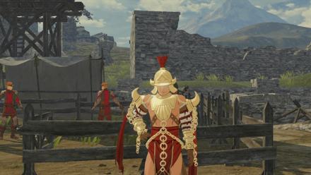 Fire Emblem Warriors Three Hopes - Training Instructor