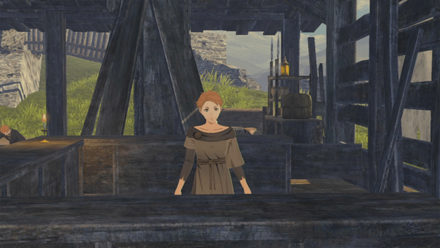 Fire Emblem Warriors Three Hopes - Armorer