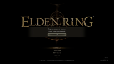 Elden Ring Bug.png