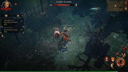 Kill the Risen Guard.jpg