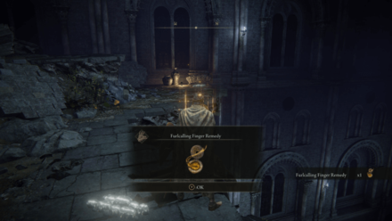 Elden Ring - Furlcalling Finger Remedy Nokron.png