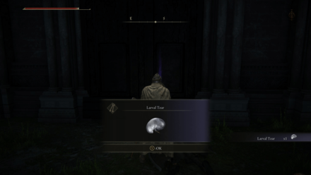 Elden Ring - Larval Tear Nokron.png