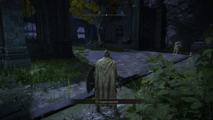 Elden Ring - Nokron Courtyard.png