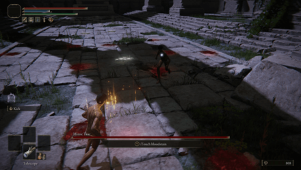 Elden Ring - Naked Mimic Tear.png