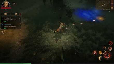 Find the Fouled Pool.jpg