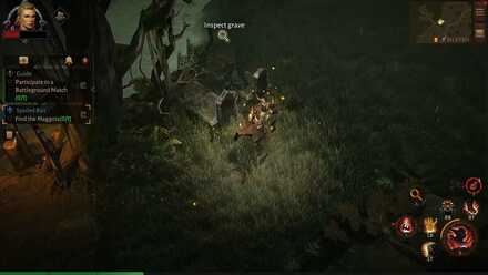 Find the Maggots.jpg