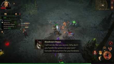 Defeat the Bloodsworn Rogue.jpg