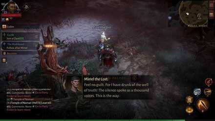 Diablo Immortal - The Maddened