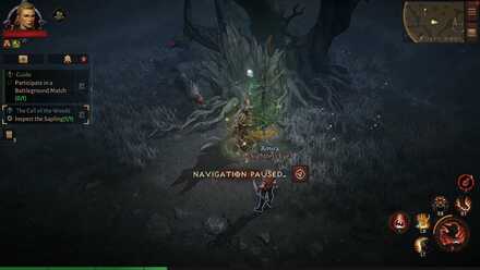 Inspect the Sapling.jpg