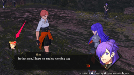 FEW3H - Raises Support Points