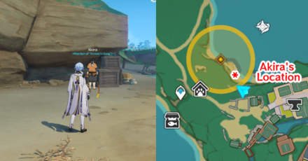 Genshin - Akira