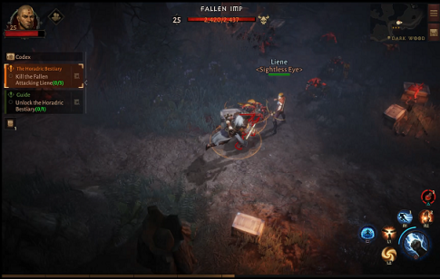 DI - kill the Fallen attacking Liene