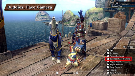 MH Rise Sunbreak - Buddies Face Camera