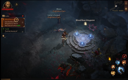 DI - Blood Rose waypoint