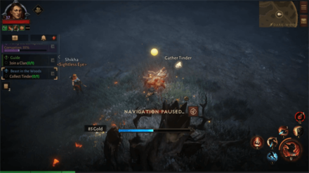 Diablo Immortal - Collect Tinder