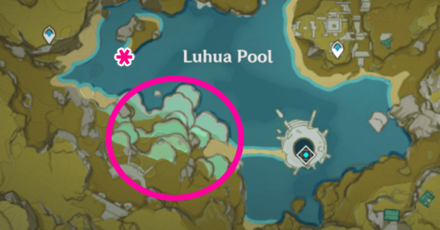 Genshin - Lotus Head in Luhua Pool Location