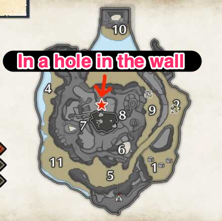 MH Rise Sunbreak - Jungle Sub-Camp Map