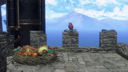 MH Rise Sunbreak Cohoot 2 #2.png