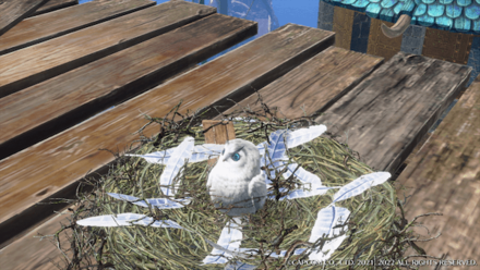 MH Rise Sunbreak Cohoot 3 #2.png