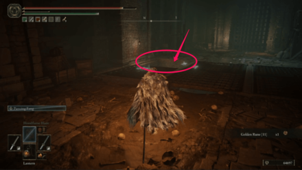 Dung Eater Cell Step 2