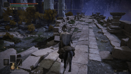 Elden Ring - Ancestral Woods Path.png