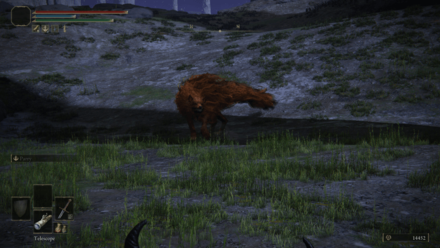 Elden Ring - Red Wolf of Radagon Ancestral Woods Location.png