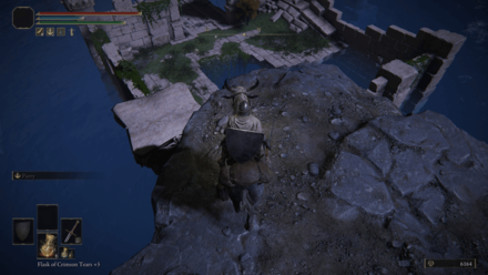 Elden Ring - Ancestral Woods Ledge Location.png