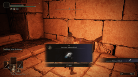 Elden Ring - Ancestral Infant