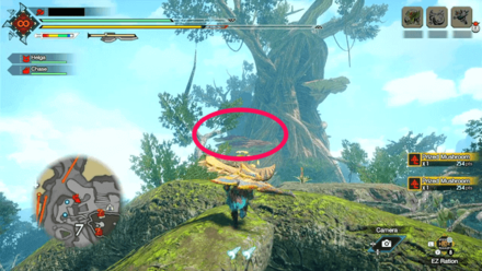 MH Rise Sunbreak - Jungle Mushroom Colony Route Step 9