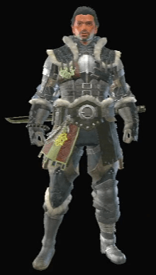 Commission Armor Set (Male)